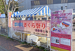 恩田川さくら祭り参加