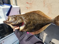 千葉県大原いずみ市でヒラメ釣り大会に参加